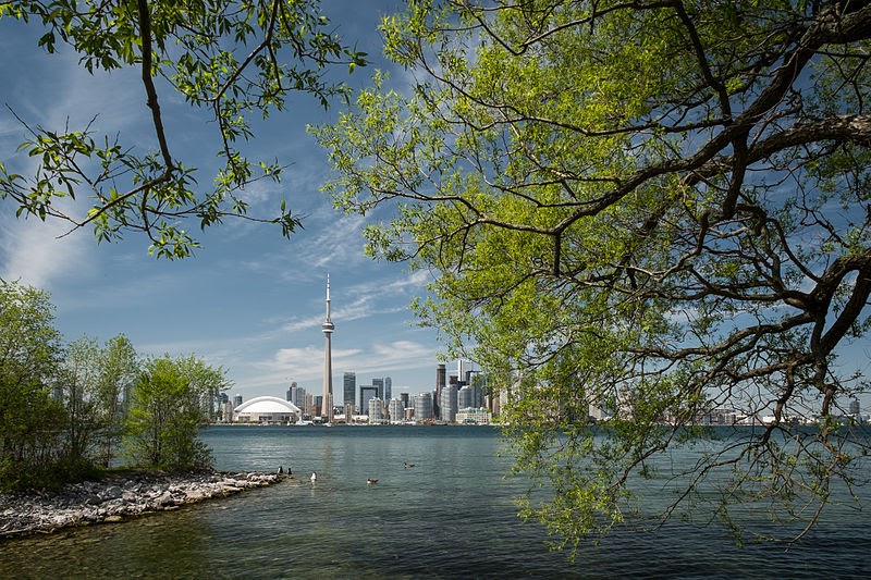 a view of the cn tower across a body of water