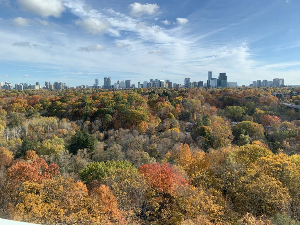 Bathurst and Sheppard, overlooking Hinder Property park on Oct. 26, 2019.
