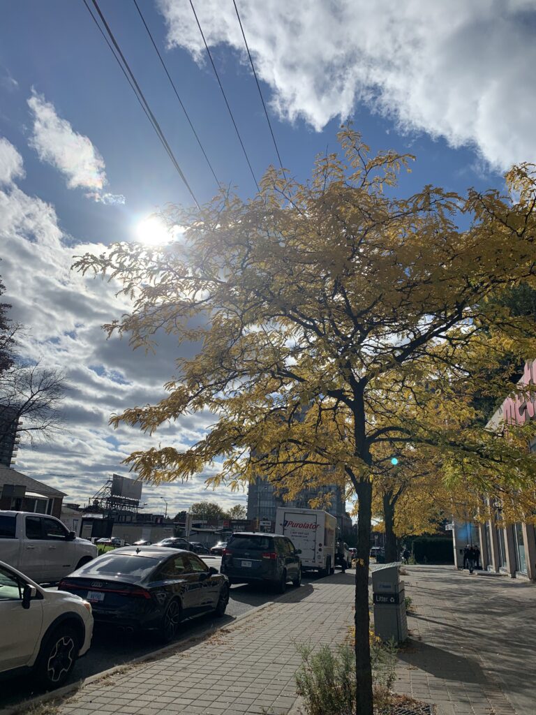 Intersection of Yonge Street and Church Avenue in October.