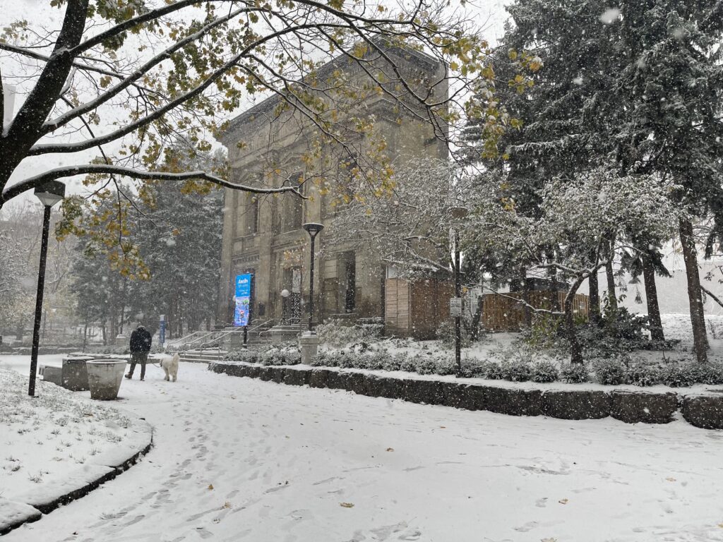 Snow falls in TMUs Kerr Hall quad.