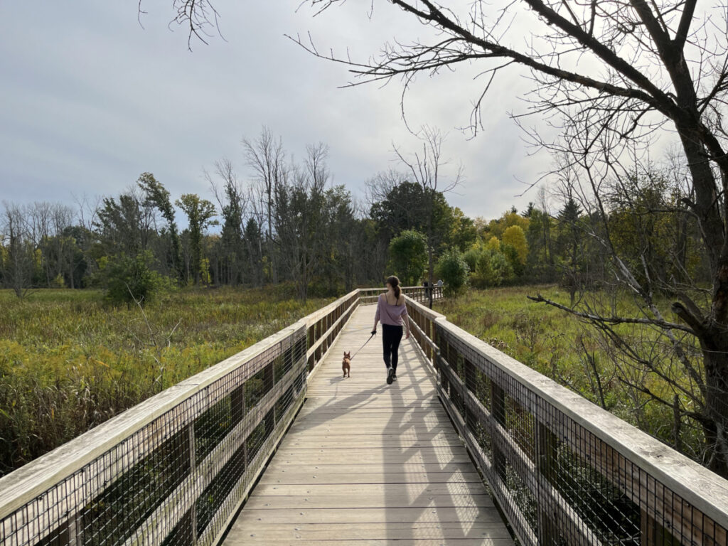 woman walking with dog on trail