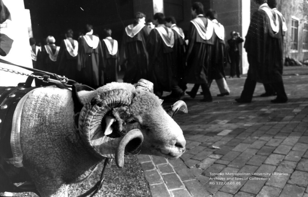 Eggy, the school mascot at the time at TMU's 1987 convocation. (Toronto Metropolitan University Library)