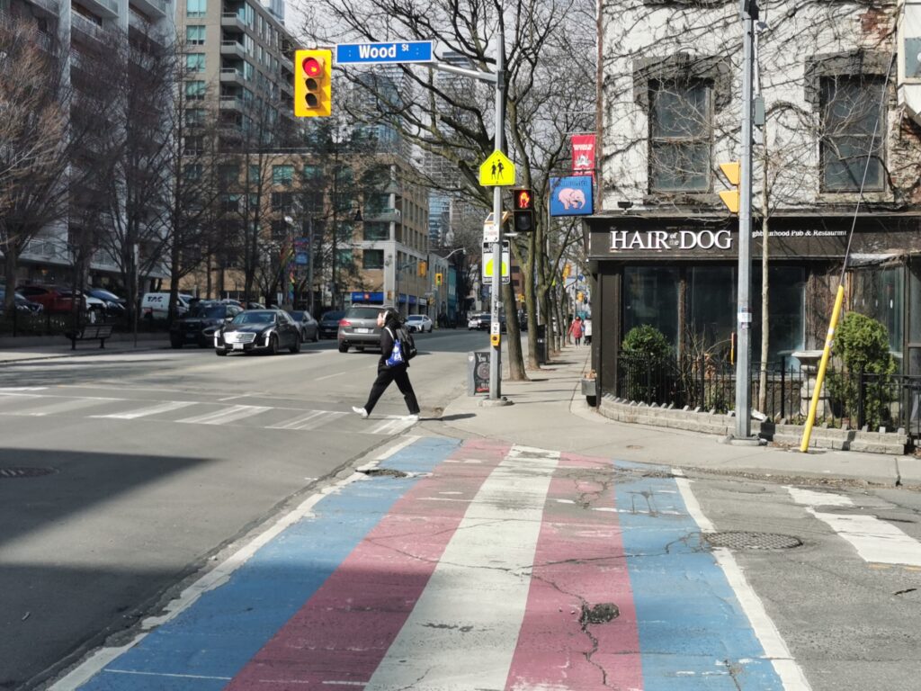 A crosswalk painted with the colours of the trans flag, pink, blue, and white.