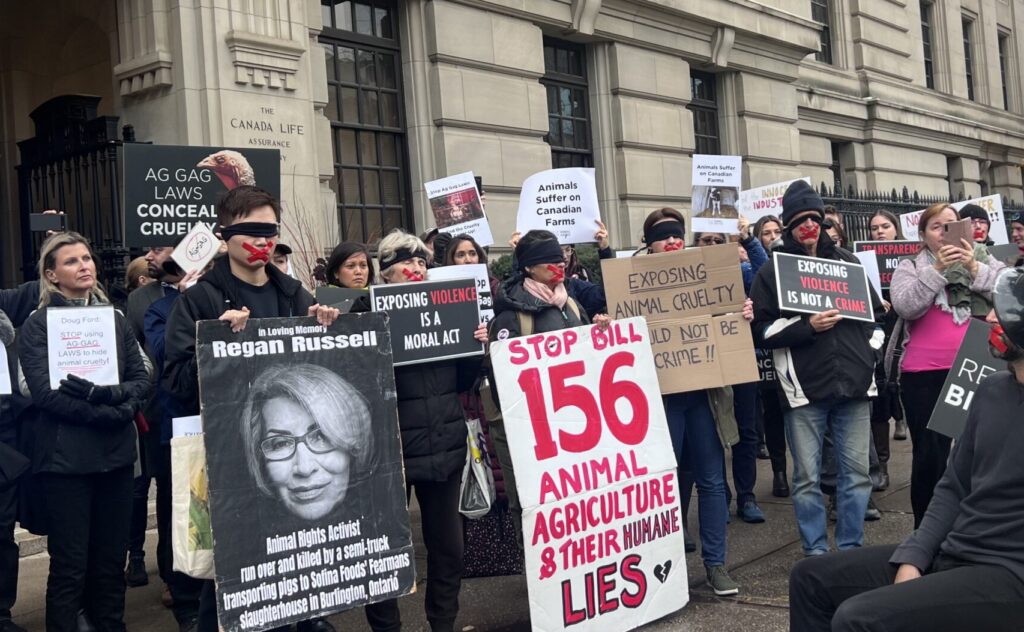 Animal Justice rally attendees holding picket signs and wearing red tape in an x stand around the entrance of the Canada Life building.