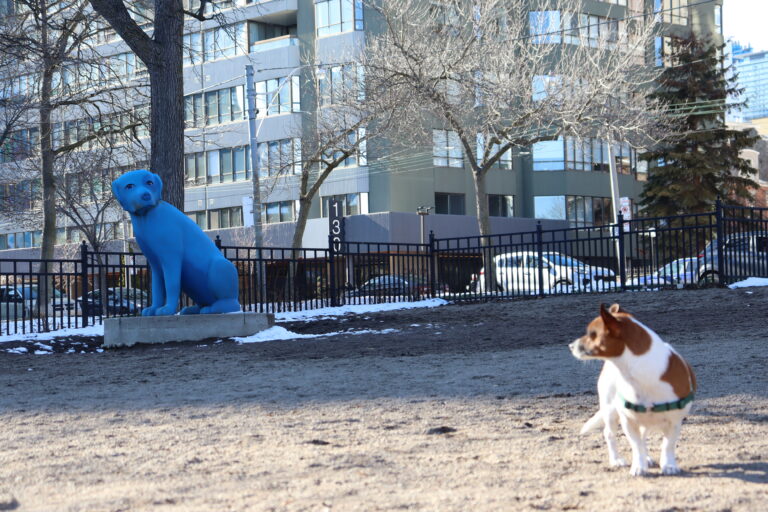 A photo of a dog park featuring a small dog looking back at a blue statue of a dog.