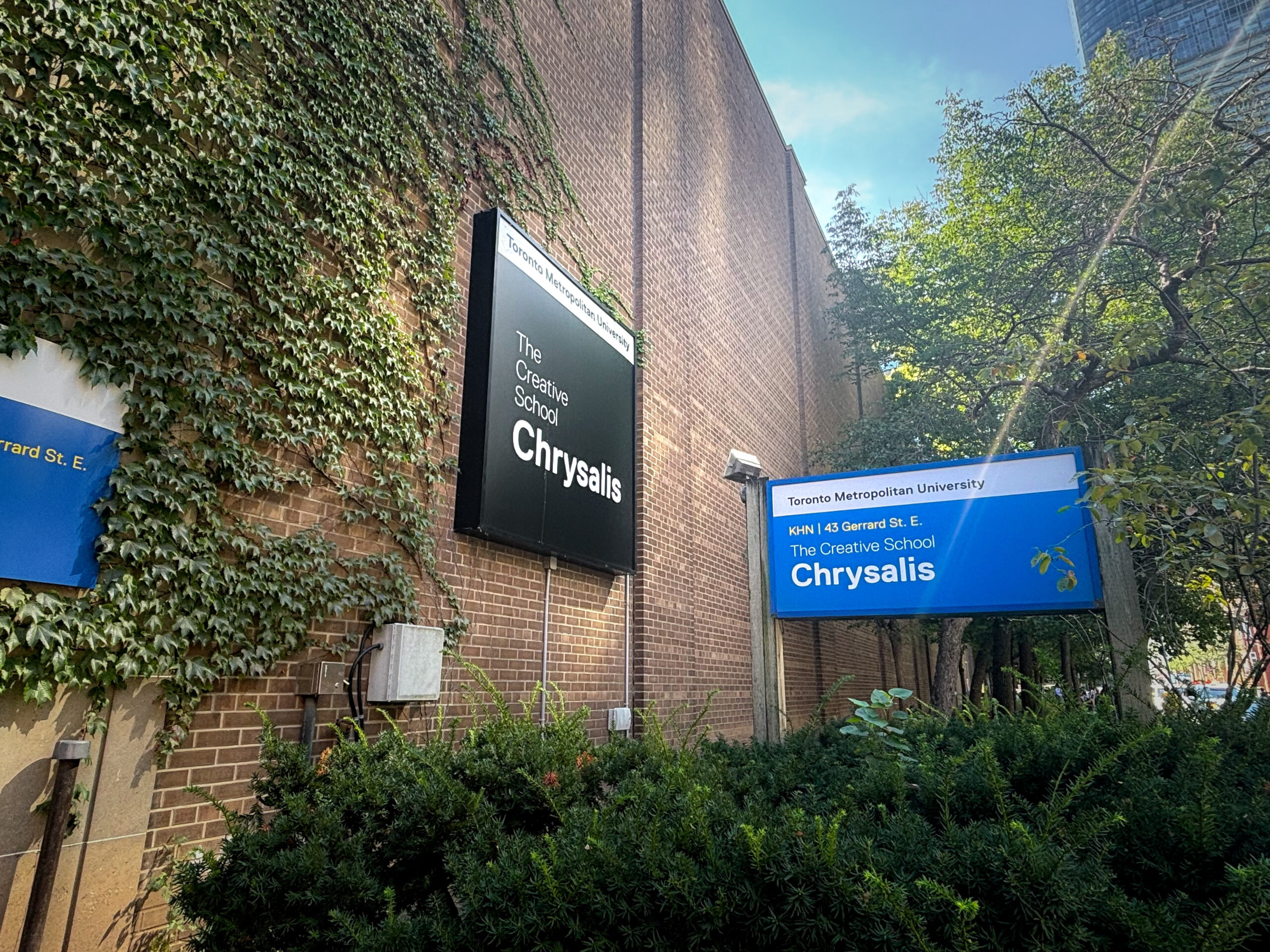 A large black sign with the word 'The Creative Schoo Chrysalis' is mounted to a brick wall. At the base of the brick wall is a blue sign planted into the ground that reads 'Toronto Metropolitan University, The Creative School Chrysalis". Both the signs and brick wall are surrounded by trees and ivy.