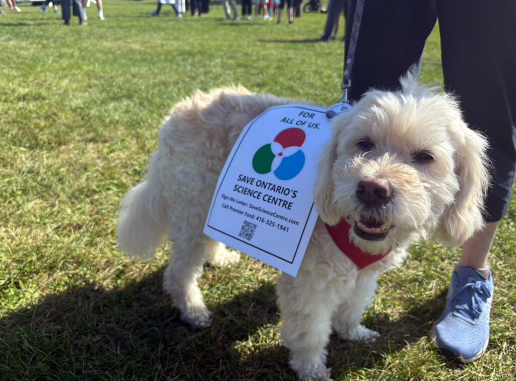 A dog wears a "Save Ontario's Science Centre" poster