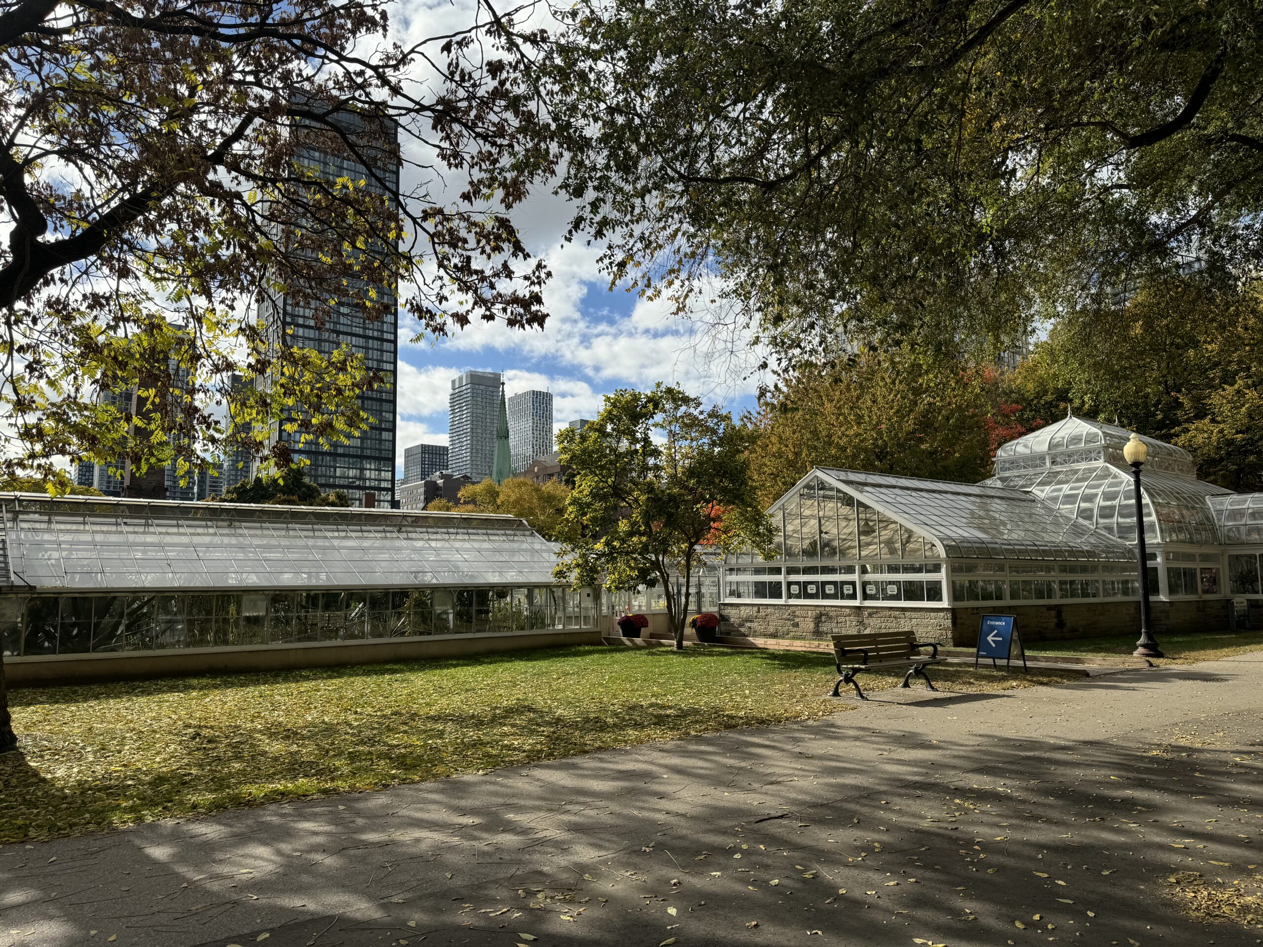 Allan Gardens Activities