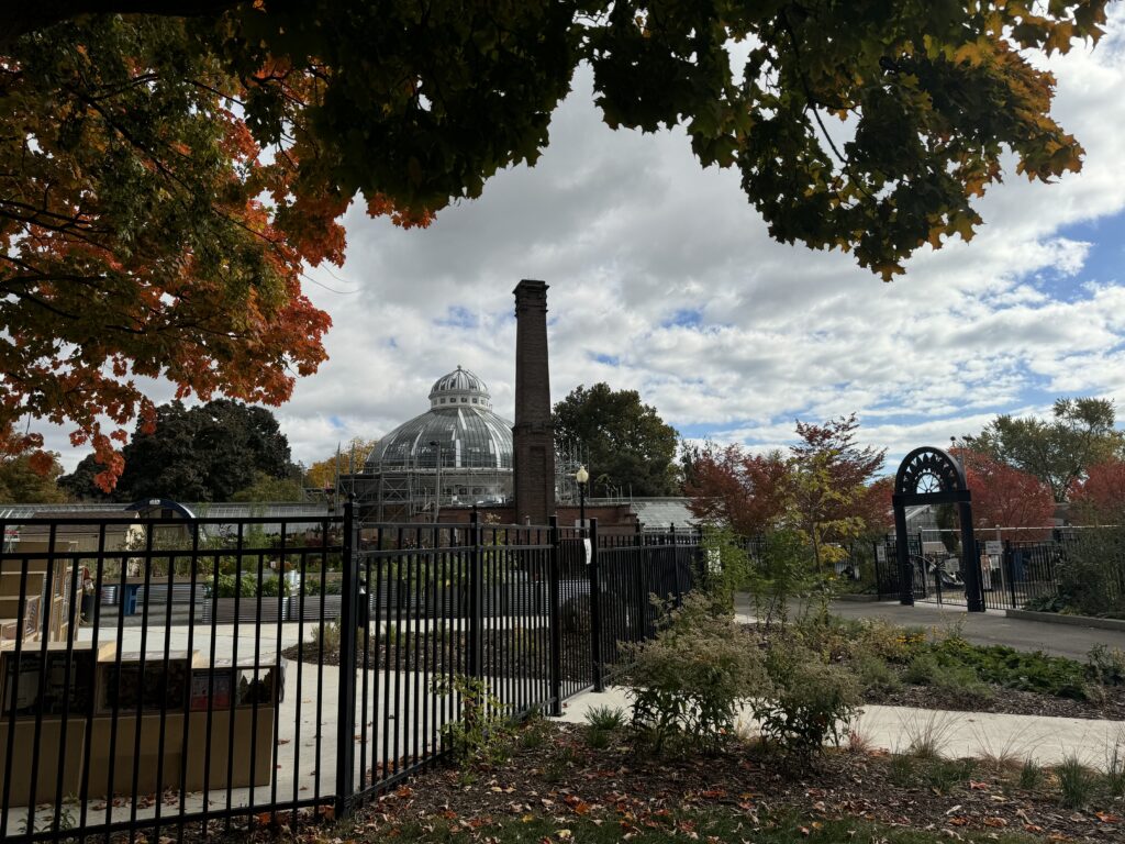 Construction around a glass building inside a park 