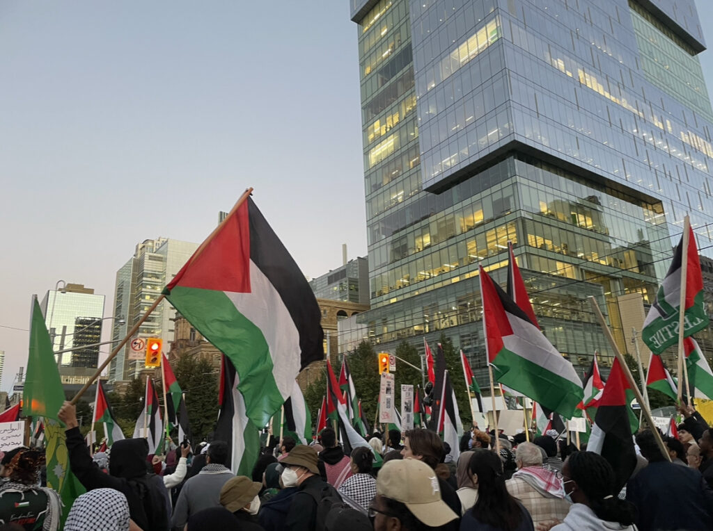 Many Palestine flags waving in the air in front of building at protest.