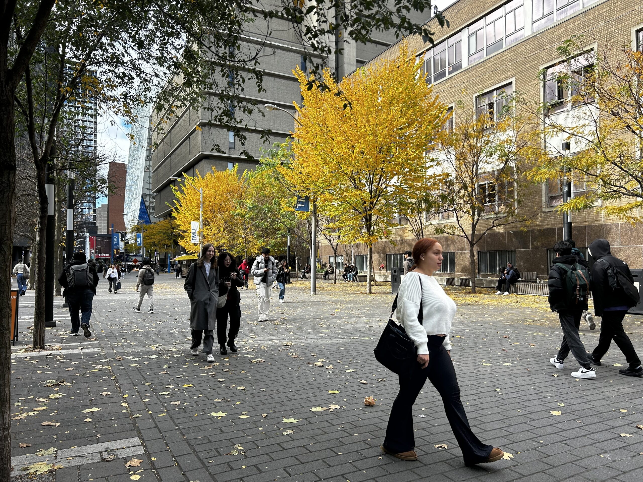 Students walking on campus.