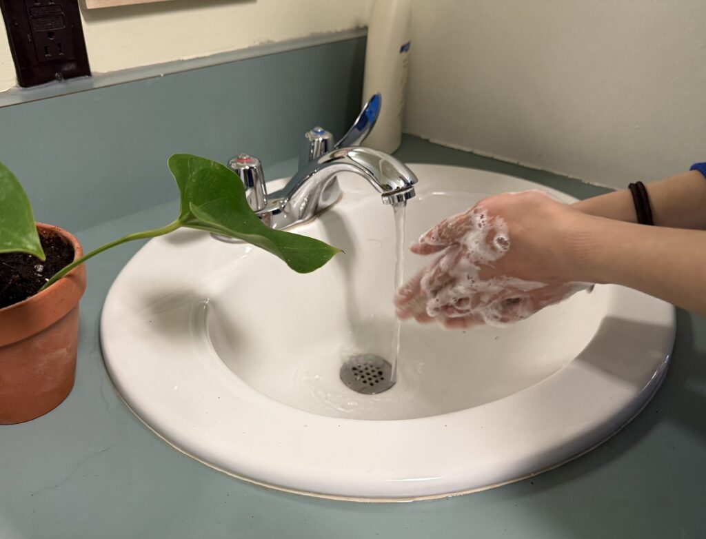 Person washing their hands