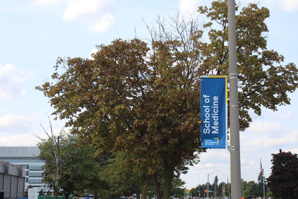 A photo of a banner for the School of Medicine on a pole next to a tree.