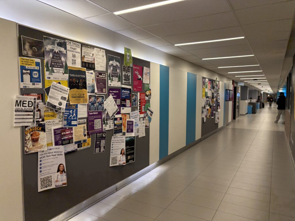 Bulletin board in hallway