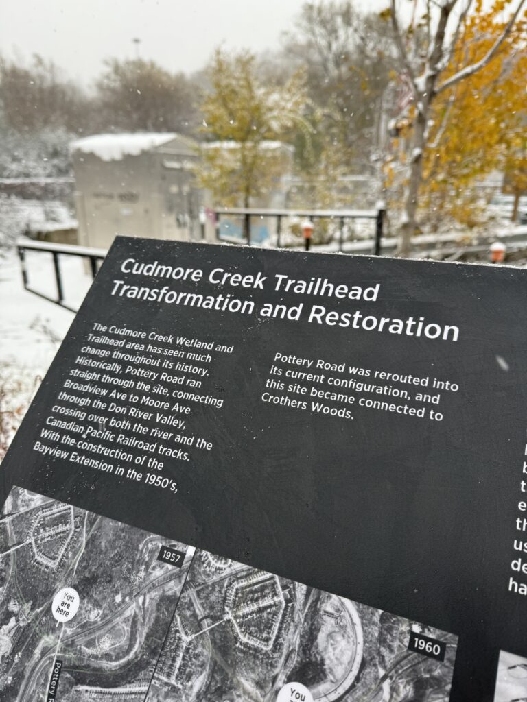 Cudmore Creek: Dump Site to Wetland – ontherecordnews.ca