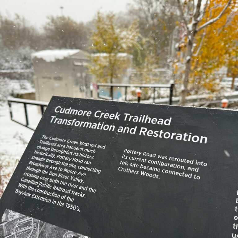 A photo of a map and sign detailing the restoration of Cudmore Creek.