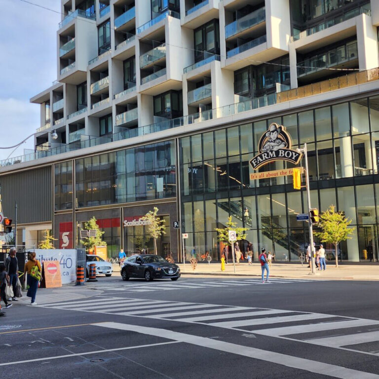 Toronto’s First Rat Response Plan Aims to Outpace the Rodents