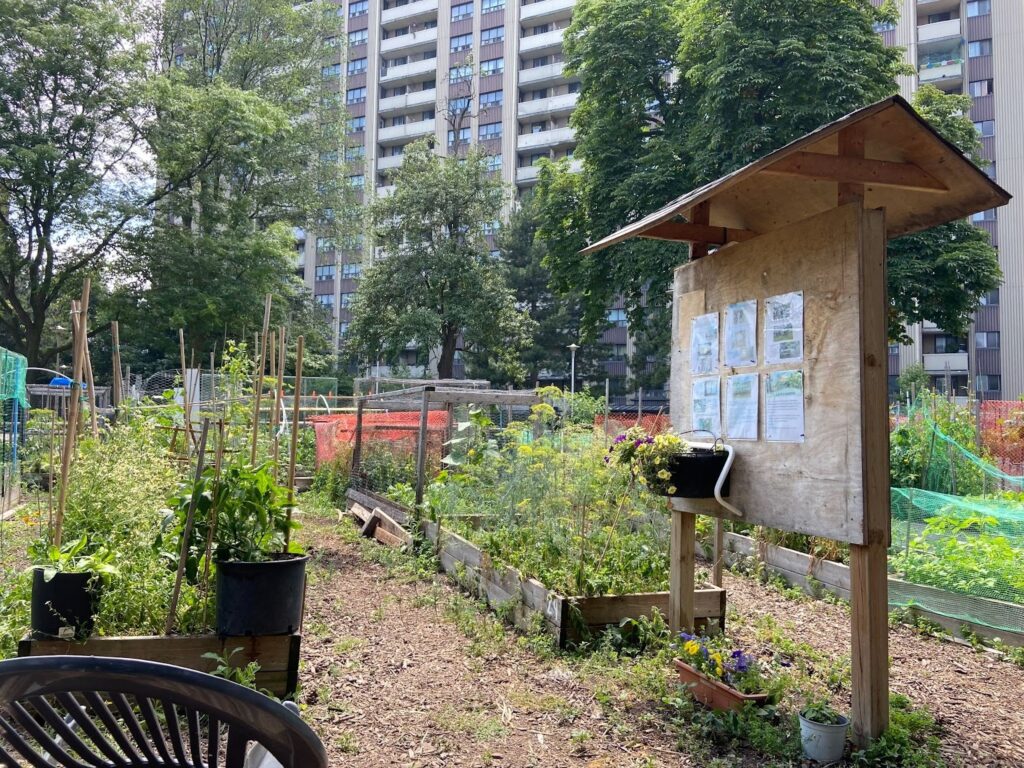 A photo of a community garden in the middle of an apartment complex.