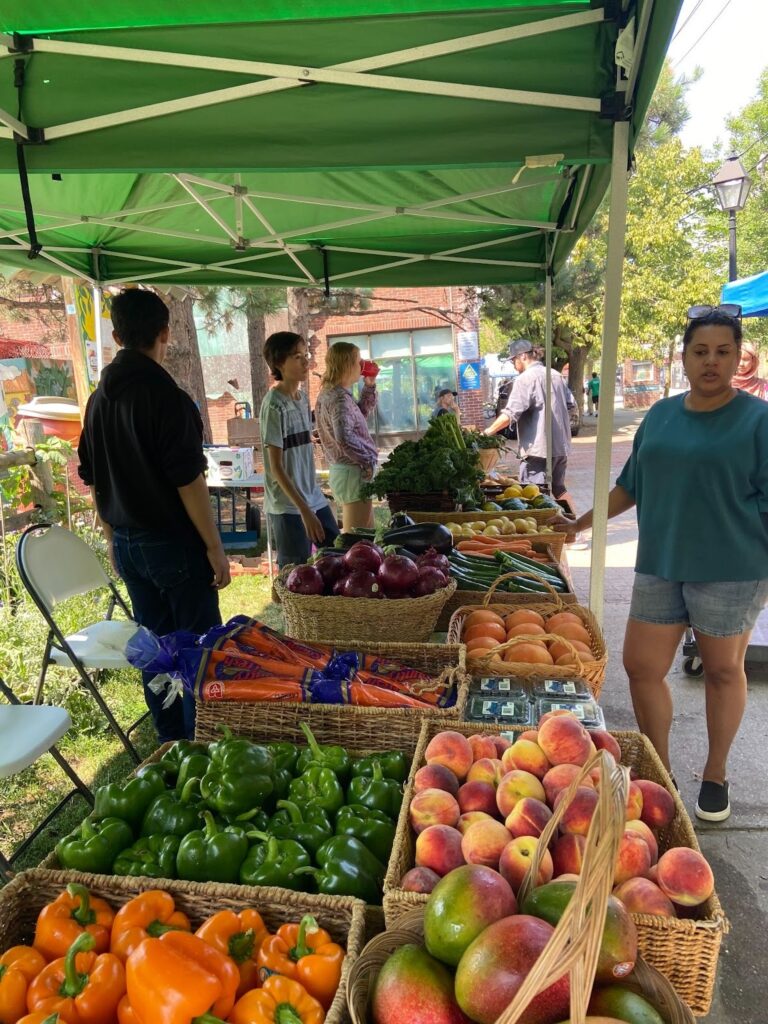 A photo overlooking the fresh fruits and vegetables that the garden produced.