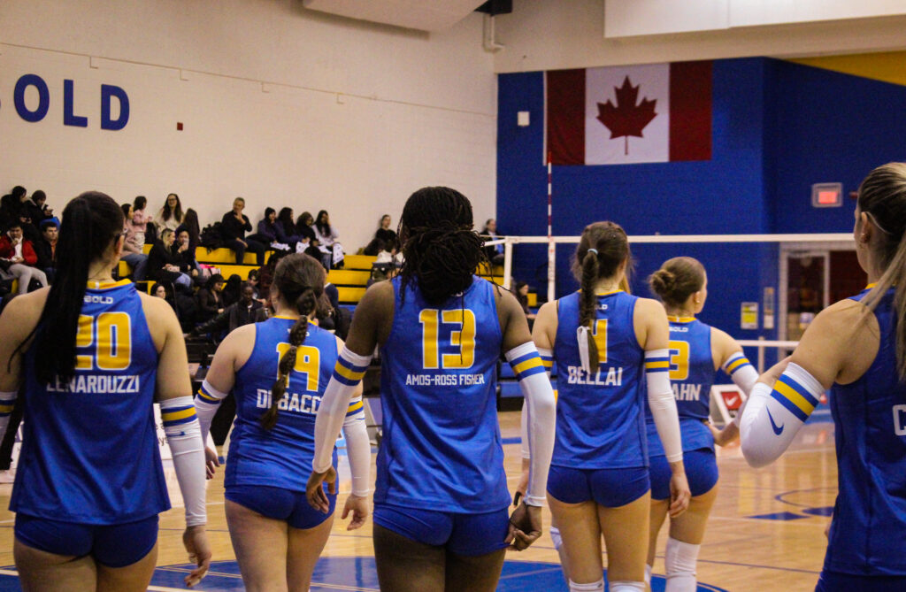 A group of women volleyball players step onto a court.