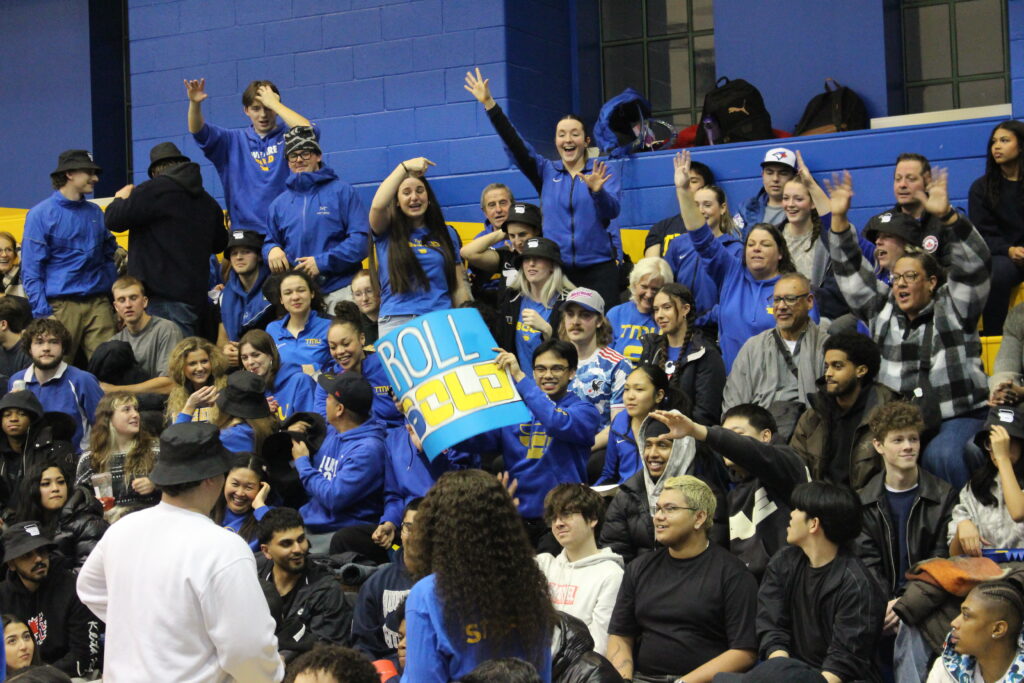 A crowd during a basketball game.