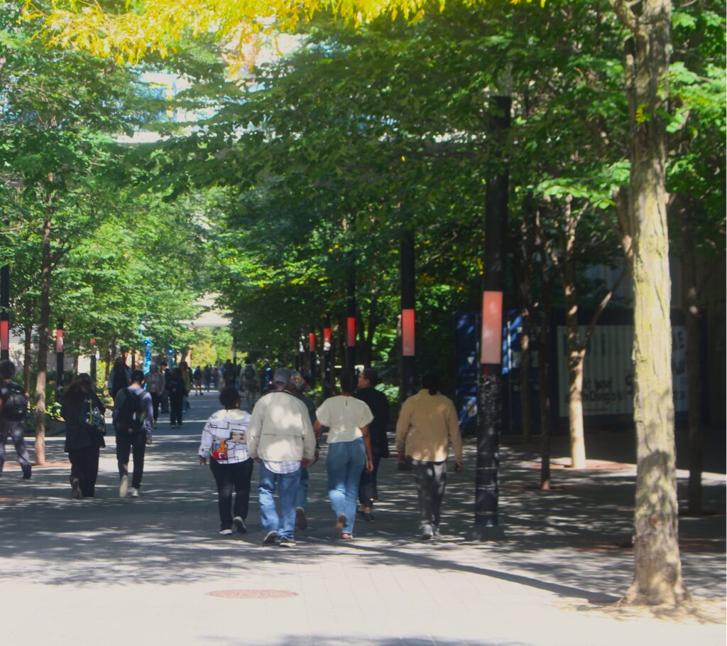 Groups of students and individuals walking on the street beside TMU's library